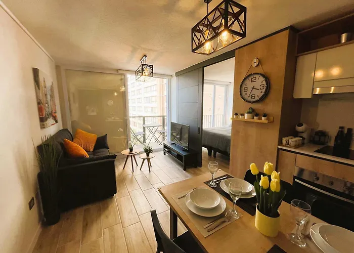 Hom I Amplio Y Comodo Depto Con Terraza Santiago