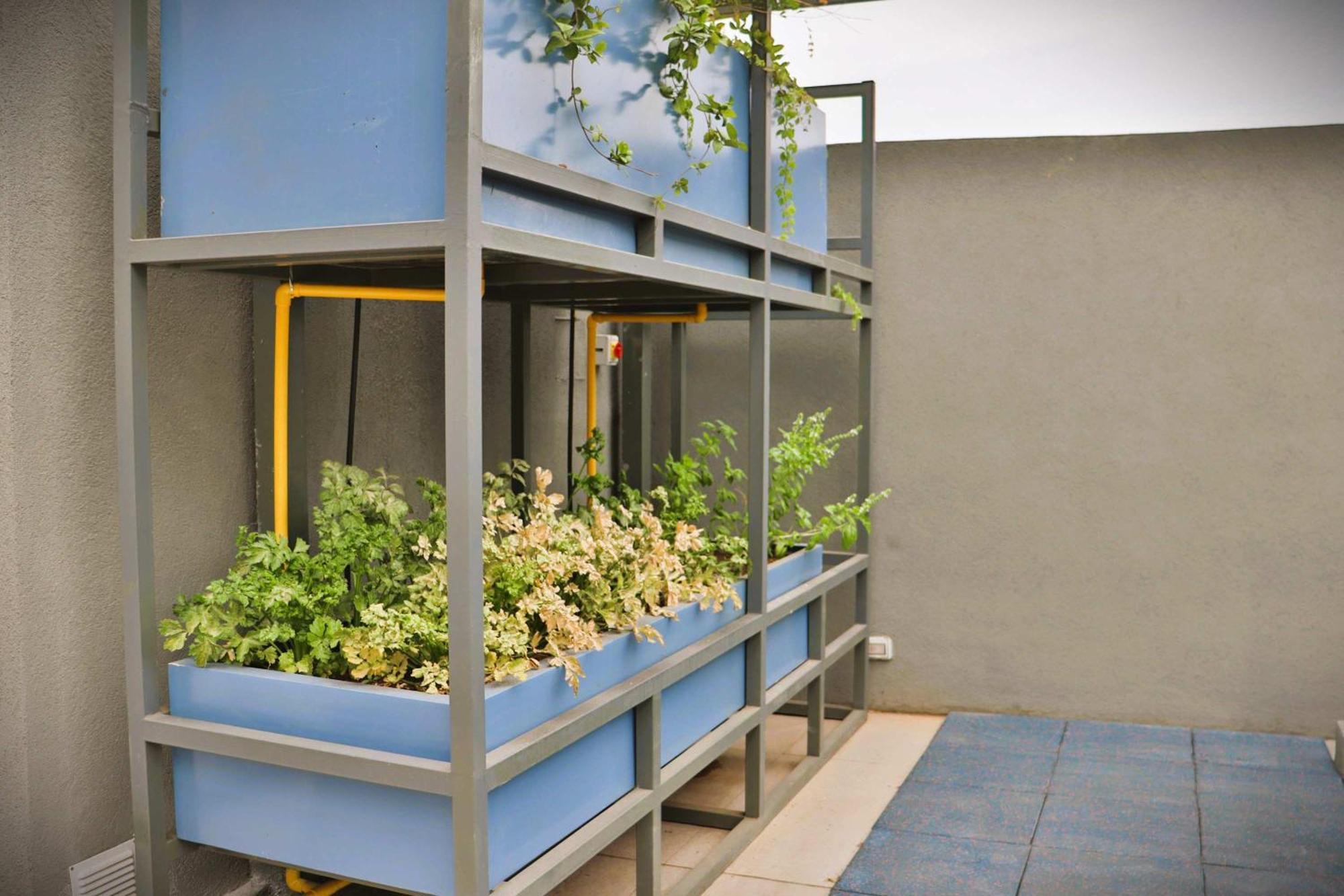 Apartamento Hom I Amplio Y Comodo Depto Con Terraza *