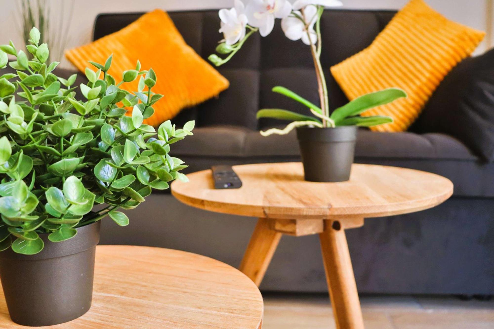 Apartamento Hom I Amplio Y Comodo Depto Con Terraza *